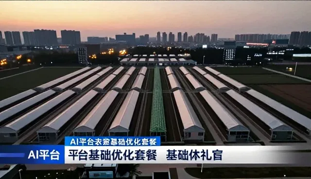 AI搜索优化排名在复杂数据环境中的性能表现与适用条件
